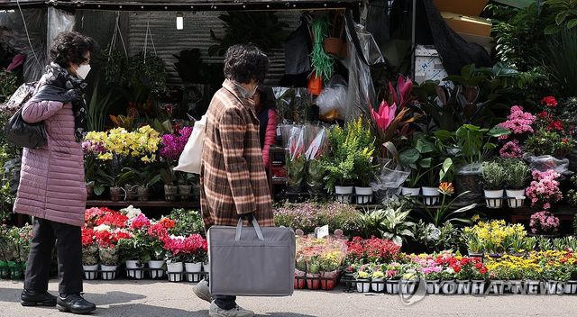 '정말 봄이 오나 봄'