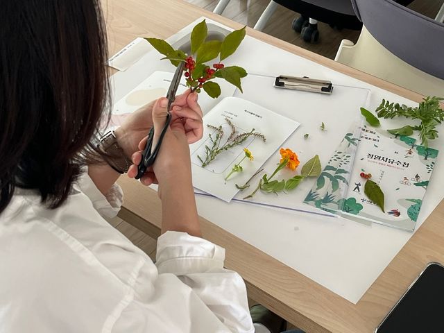 '서울형 정원처방' 프로그램에 참여한 청년