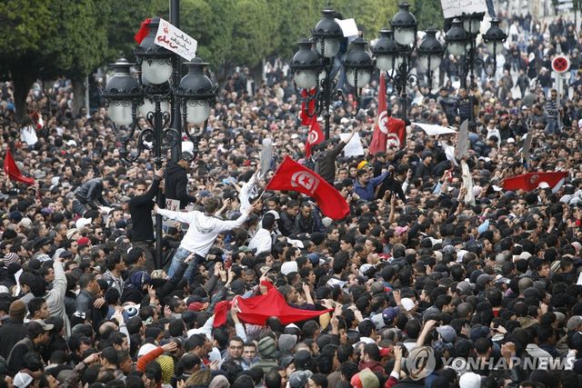 튀니지 '아랍의 봄' 시위 