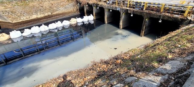 지난 8일 유출된 폐수