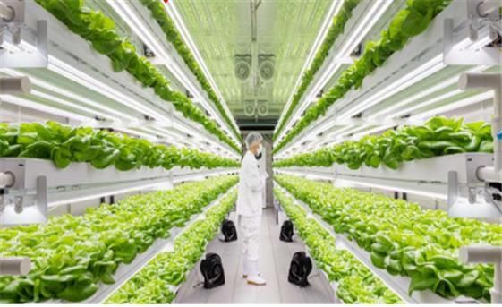 원주 문막에 들어설 스마트팜 조감도