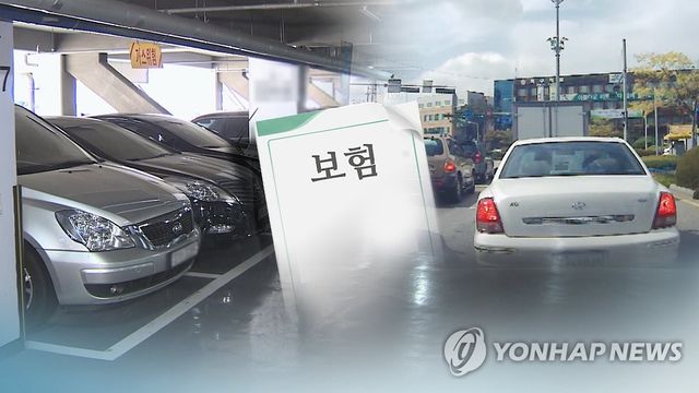 자동차보험 사기(CG)