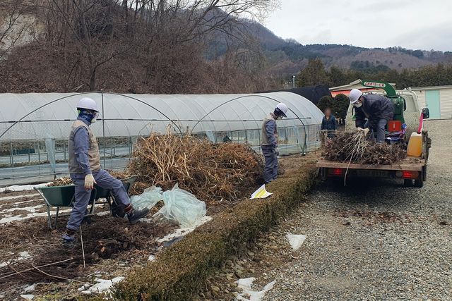 춘천시 영농 부산물 파쇄지원단 운영