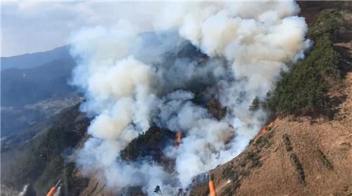 거창 산불 현장