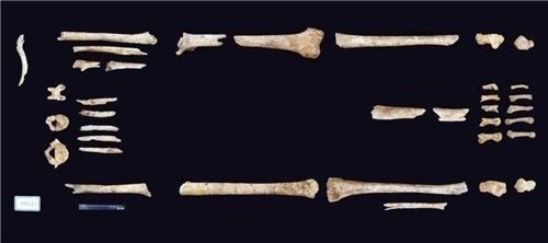 김영기 하사 유해