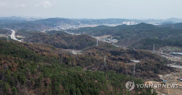 불에 탄 울주군 온양읍 야산
