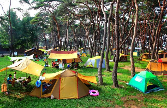 송호관광지 캠핑장