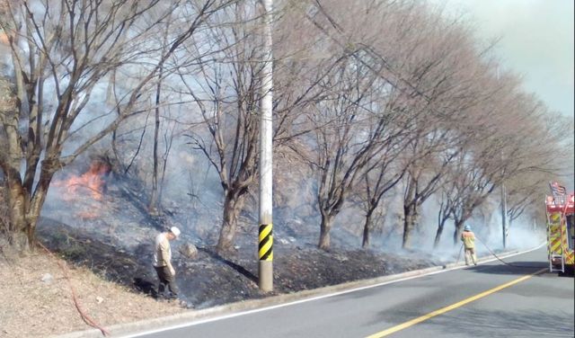 화재가 난 무주 야산