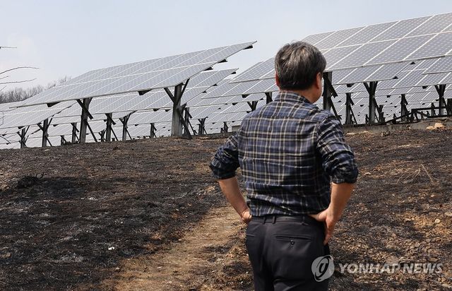 산불 휩쓴 태양광발전 시설