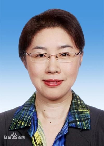 쩌우자이 전 중국 재정부 부부장