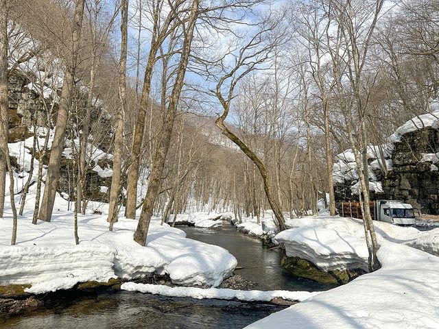 아오모리의 오이라세 계류 풍경 [사진/권혁창 기자]