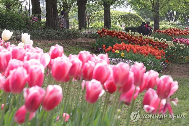 2024 고양국제꽃박람회 개막