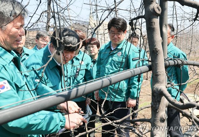 산불 피해 농가 방문 피해 상황 점검하는 권재한 농촌진흥청장