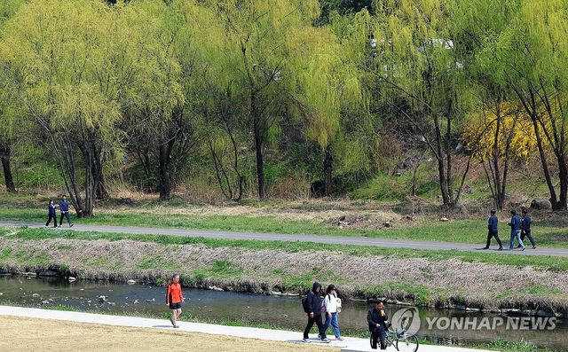 싱그러운 봄 산책
