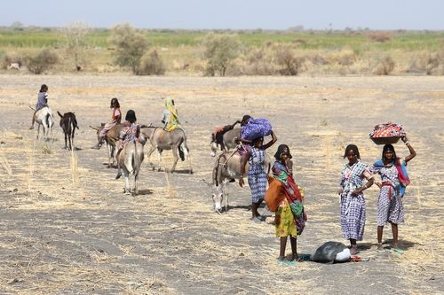 수단 분쟁 상황 피해 남수단으로 향하는 수단 난민 행렬
