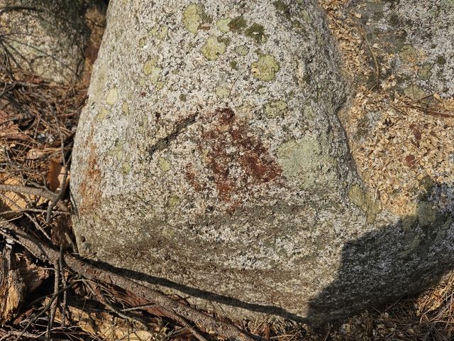 경주 남산 용장계 사곡 제1사지 약사여래좌상에 남은 소나무 껍질 흔적