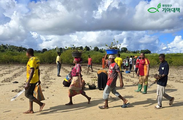 맹그로브 나무 묘목 옮기는 탄자니아 주민들