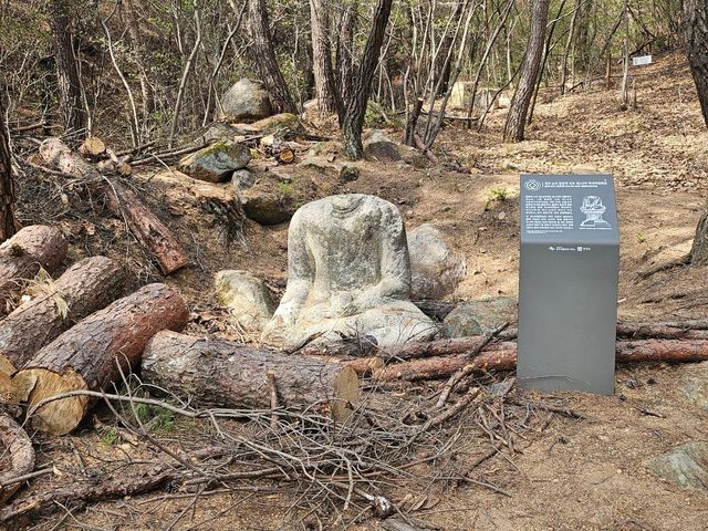 경주 남산 용장계 사곡 제1사지 약사여래좌상 주변에 쓰러진 나무