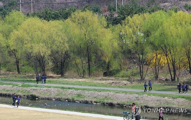 싱그러운 봄 산책