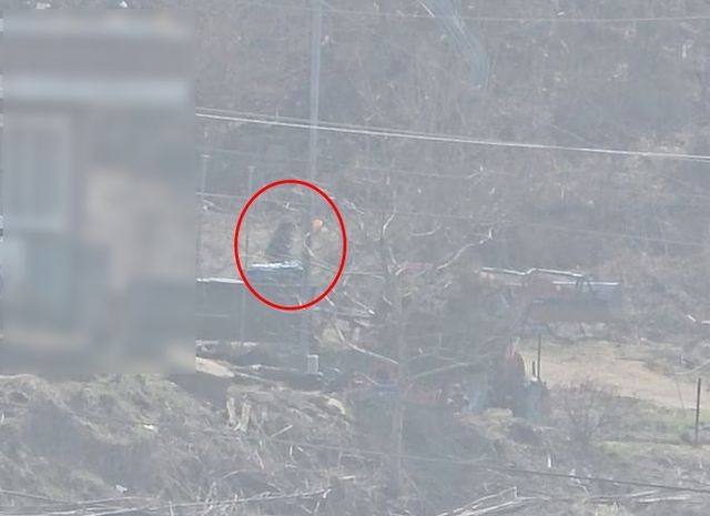 불을 붙여 밭둑에 던지는 방화범의 모습.