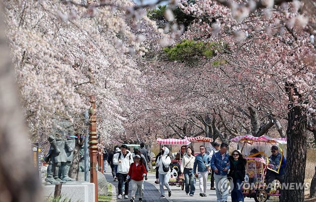 벚꽃놀이하기 좋은 봄날