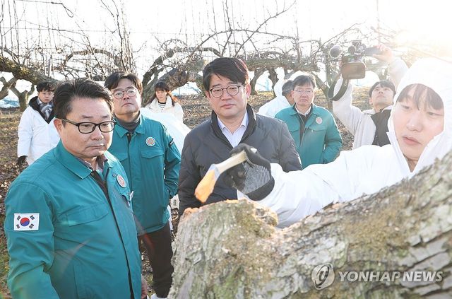 과수농가 현장 점검