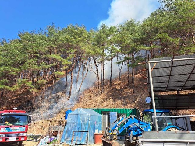 양구에서 발생한 산불