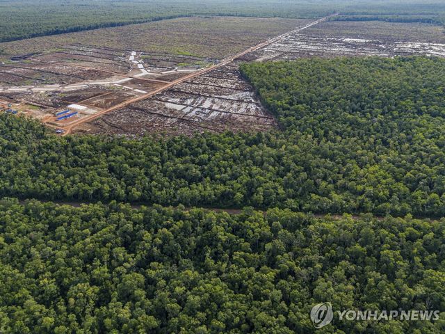 인도네시아 파푸아