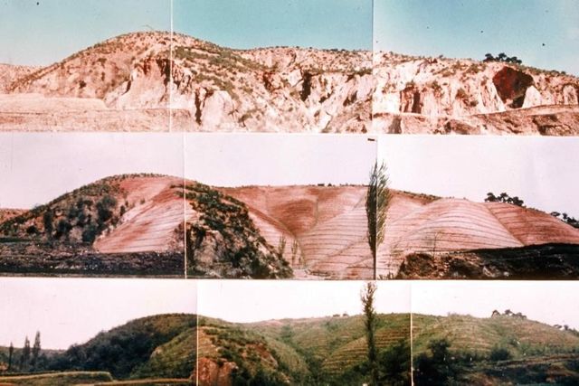 1973∼1977년 포항 영일만 산림 복구 사진