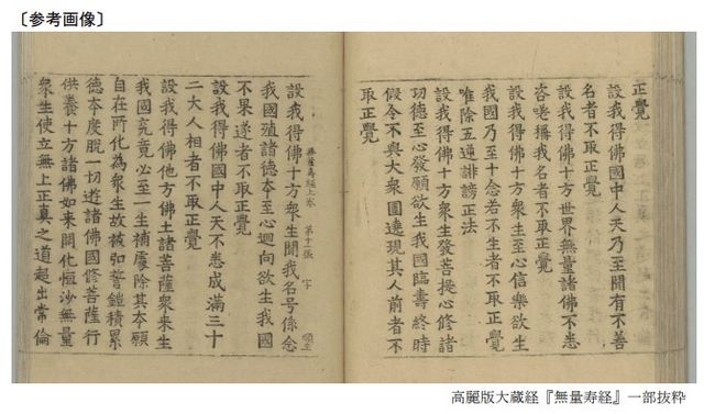 일본 조조지 소장 고려대장경 목판 인쇄물 '무량수경' 일부