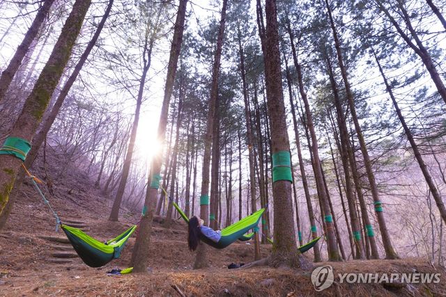 영주산림치유원