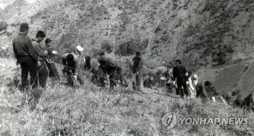 1967년 충북서 나무는 장면