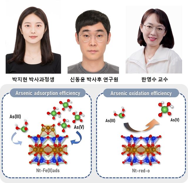 충남대 한영수 교수 연구팀