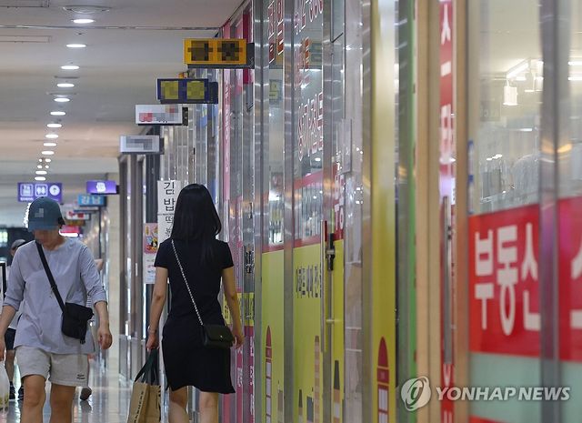 서울의 한 상가에 줄지어 들어선 공인중개사무소