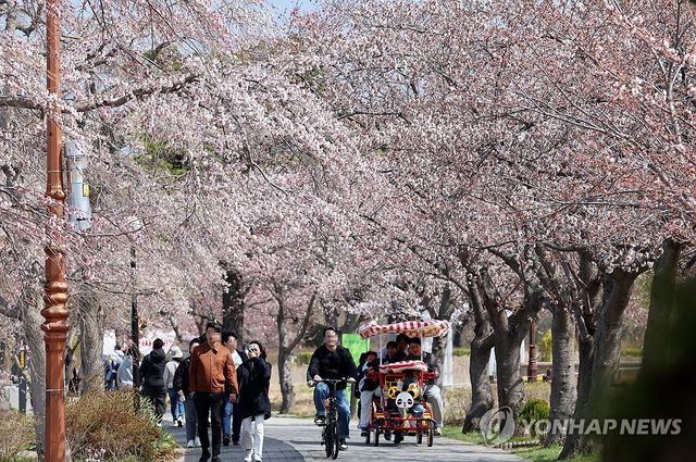나들이하기 좋은 봄날…강릉 경포호