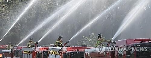 산불 진화 훈련