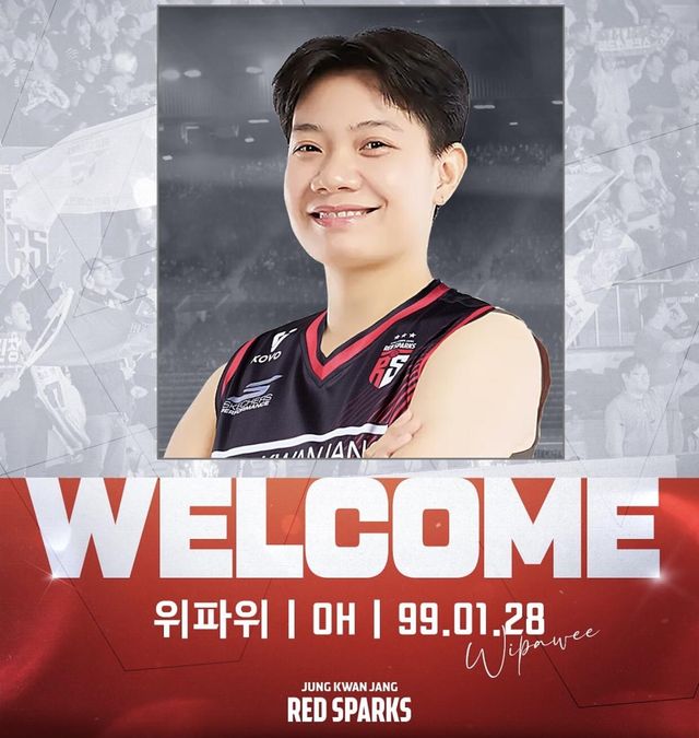 정관장이 SNS에 올린 위파위 영입 안내