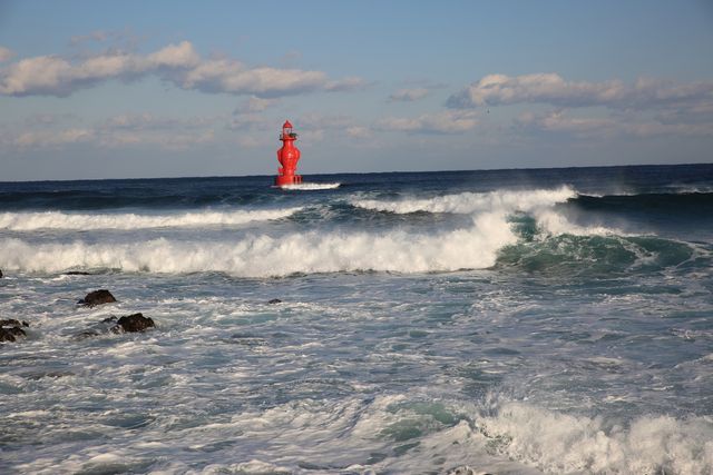 동해 바다에 이는 높은 물결