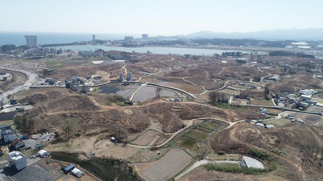 산불 발생 2년이 지난 강릉 경포 일대