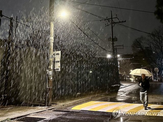 눈 내리는 서울