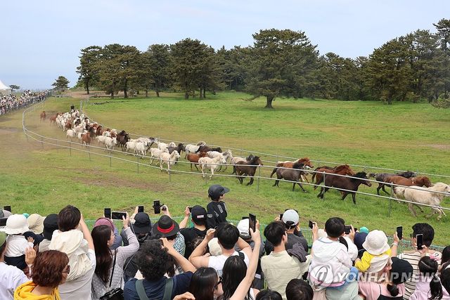 2024년 제1회 제주마 입목 및 문화축제 