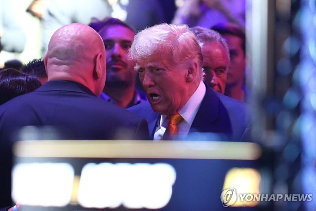 이종격투기 관람하는 트럼프 미국 대통령