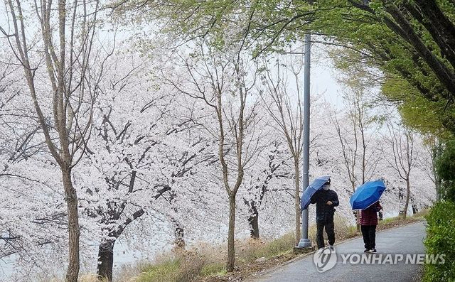 생각보다 너무 강했던 봄바람