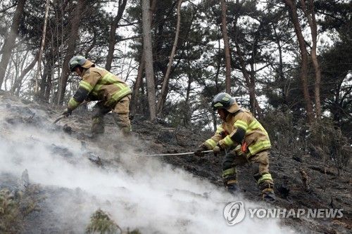 2023년 4월 발생한 홍성 산불에서 잔불 정리하는 소방대원