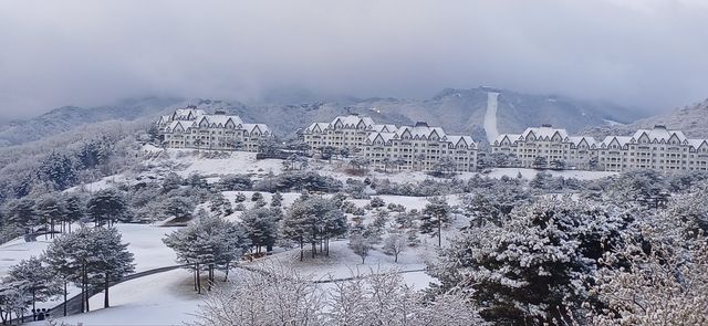 강원도 홍천군 서면 팔봉리의 설경(14일 오전 6시10분 현재)