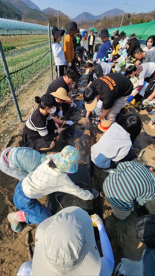 어린이 가족텃밭