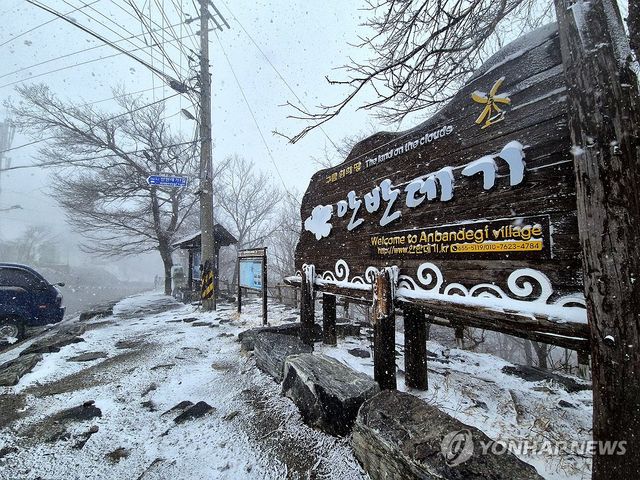 눈보라 치는 강릉 안반데기