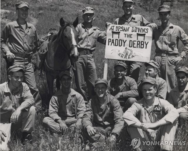 한국전쟁 전장의 제주마 '레클리스'
