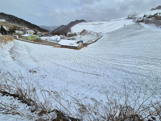 눈 쌓인 강릉 안반데기