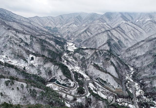 춘설에 겨울로 돌아간 백두대간